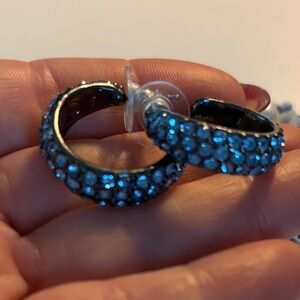 Joan Rivers Classics Collections Sparkling Blue Crystal Earrings